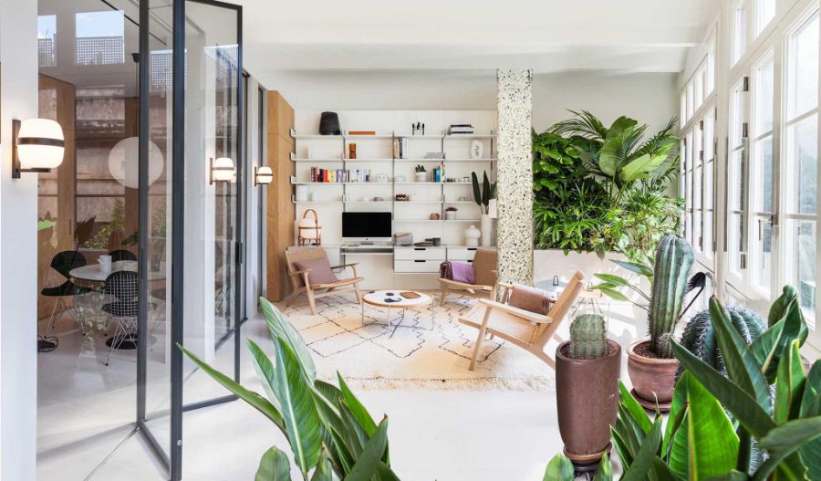 living room by YLAB Arquitectos with many plants, white rug an wooden chairs